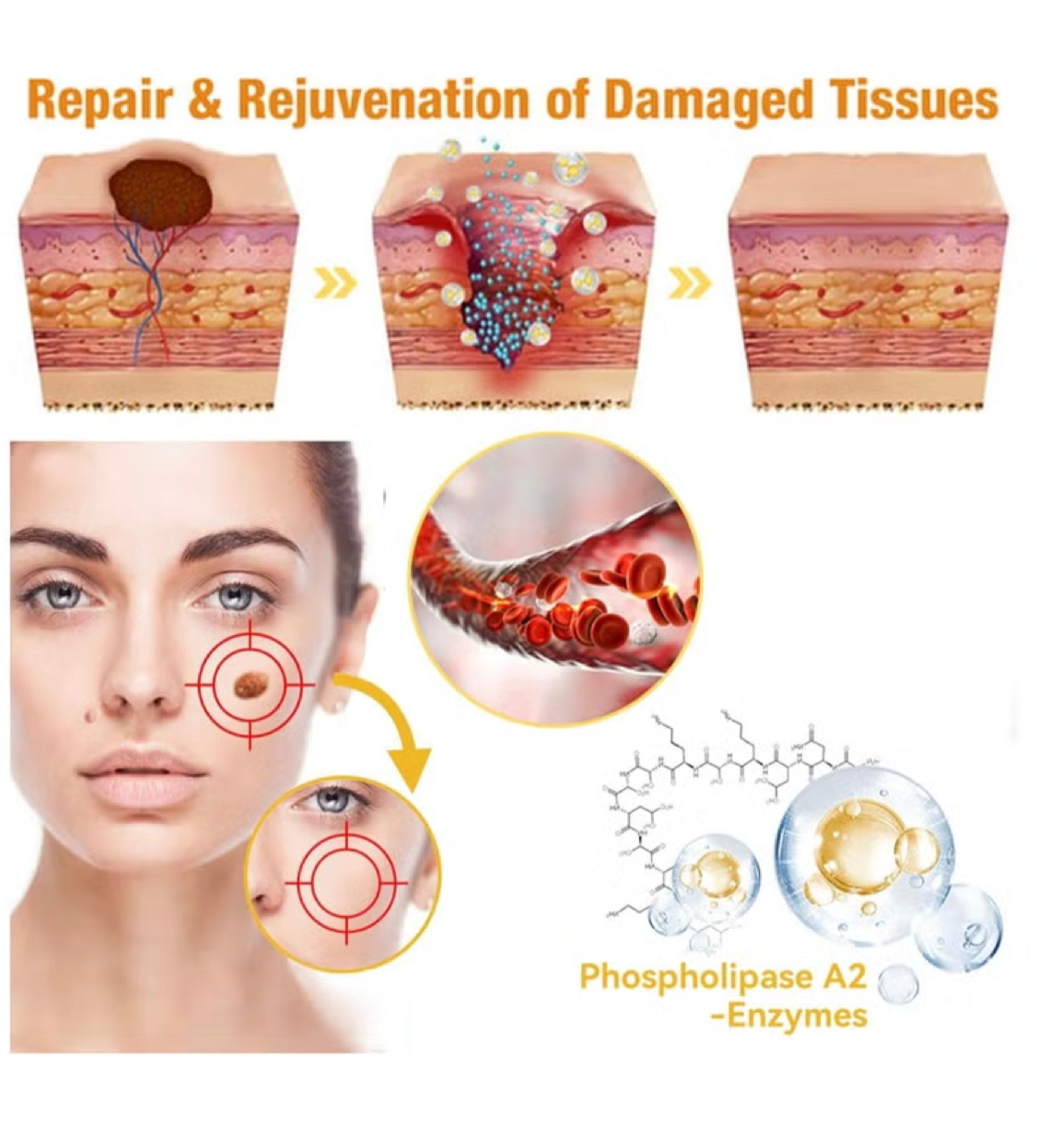 Bee Venom Repair Cream – Professional Treatment for Face & Body