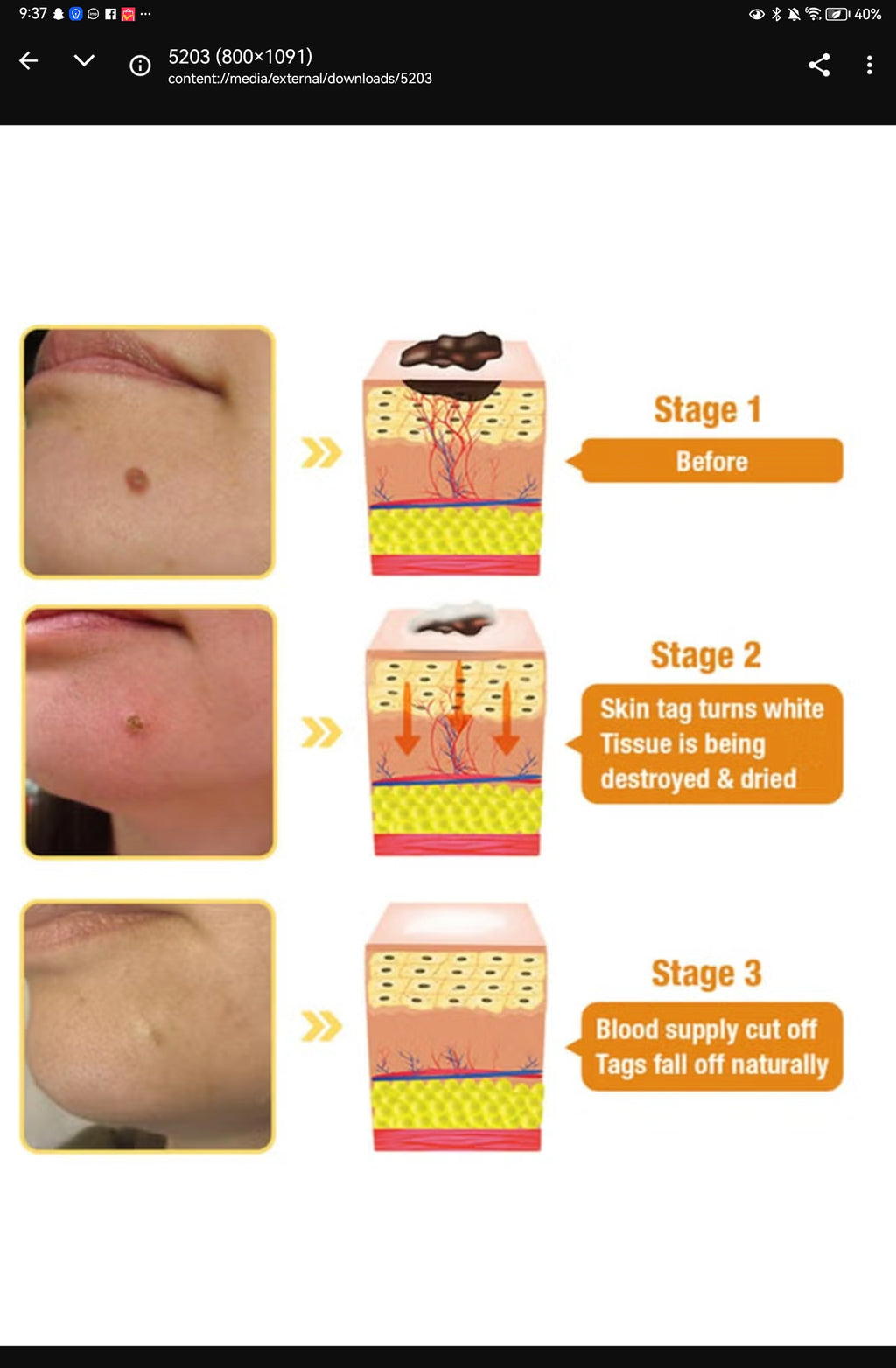 Bee Venom Repair Cream – Professional Treatment for Face & Body